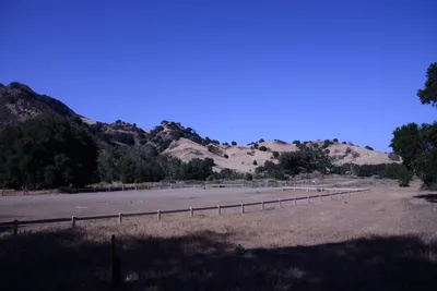 DSC_2040 (Large).JPG